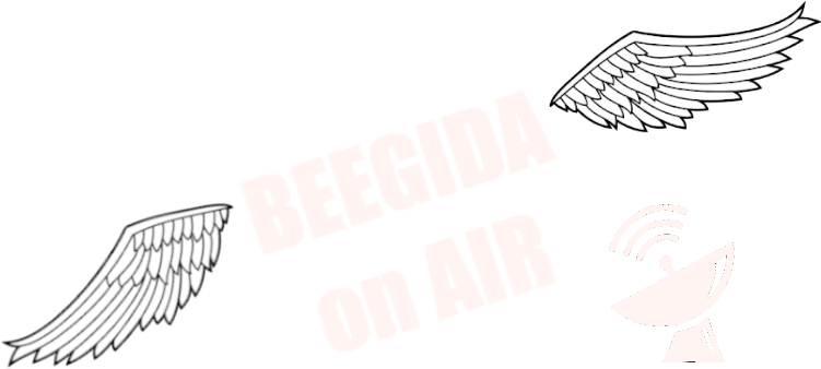 beegida on air